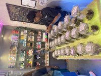 IMG_7101.jpeg