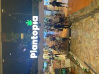 IMG_7112.jpeg