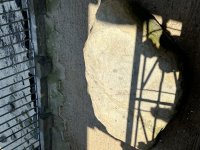 IMG_7693.jpeg