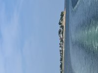 IMG_7726.jpeg