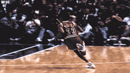 IMG_8181.gif