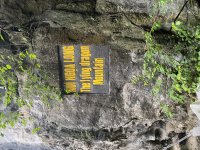 IMG_7569.jpeg