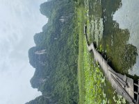 IMG_7545.jpeg