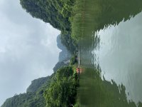 IMG_7537.jpeg