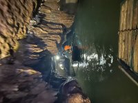 IMG_7535.jpeg