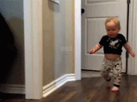 1719493003310.gif