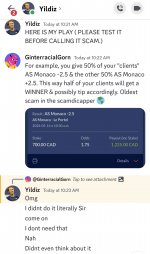Screenshot_20240628_150949_Discord.jpg