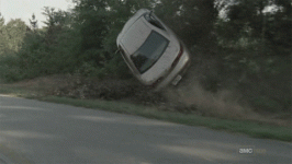 IMG_8234.gif