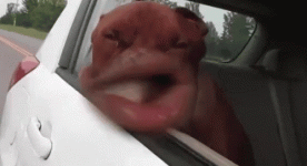 1719801719303.gif