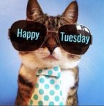 tuesday.jpg