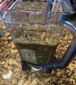 IMG_8295.jpeg