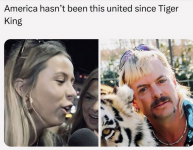 1720106411834.png