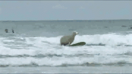 1720211382767.gif