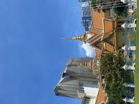 IMG_8083.jpeg