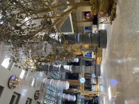 IMG_8088.jpeg