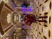 IMG_8136.jpeg