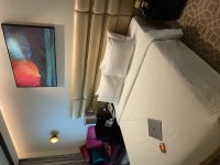 IMG_8141.jpeg