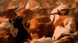 1720798610569.gif
