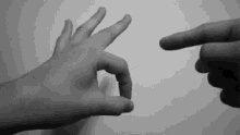 IMG_8449.gif