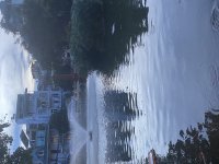 IMG_8414.jpeg