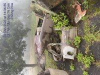 TC_00377.jpeg