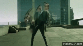 IMG_8477.gif
