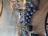 IMG_8452.jpeg