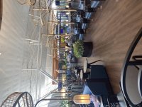 IMG_8451.jpeg