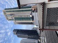 IMG_8506.jpeg