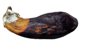 1721231376712.png