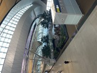 IMG_8554.jpeg