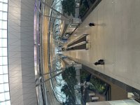 IMG_8555.jpeg