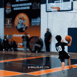 IMG_8513.gif