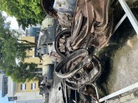 IMG_8636.jpeg