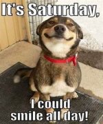saturday.jpg