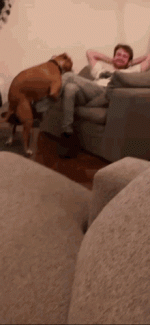 IMG_8533.gif