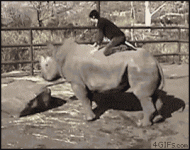 1721506351491.gif