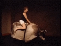 IMG_8538.gif