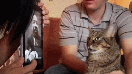 IMG_8540.gif