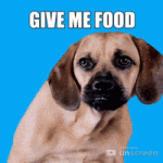 1721526002614.gif