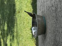 1721588650937.jpeg