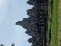 IMG_8800.jpeg
