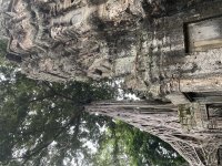 IMG_8811.jpeg