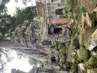 IMG_8810.jpeg
