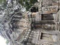 IMG_8809.jpeg