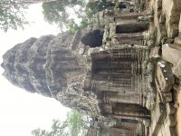 IMG_8807.jpeg