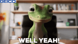 IMG_8556.gif
