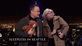sleepless in seattleR.gif