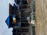 IMG_8942.jpeg
