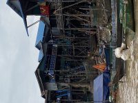IMG_8922.jpeg